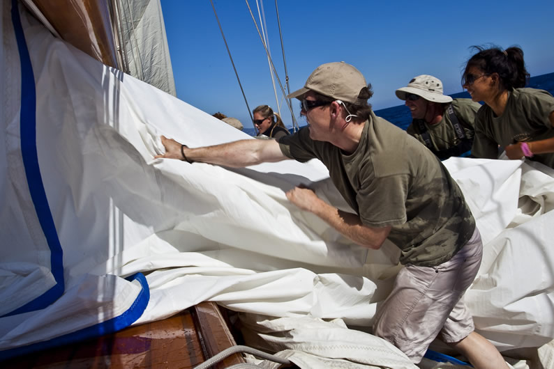 Bringing down the kite